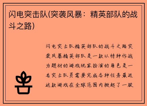 闪电突击队(突袭风暴：精英部队的战斗之路)