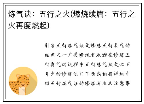 炼气诀：五行之火(燃烧续篇：五行之火再度燃起)